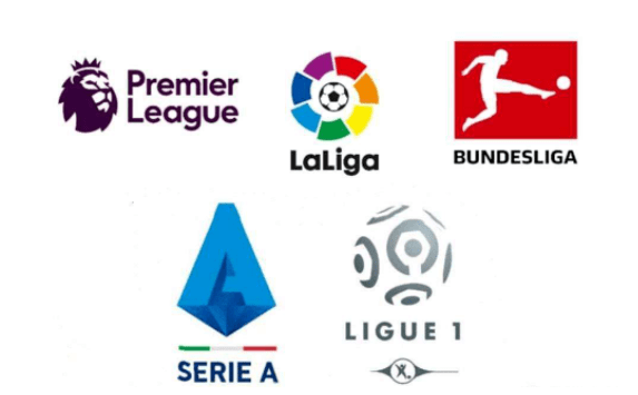 主研发的 主研发的